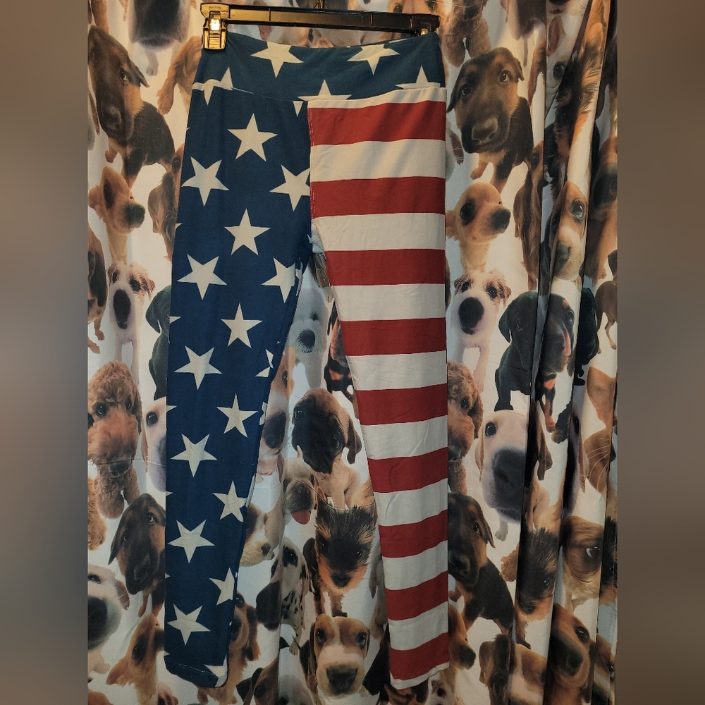 Lularoe one size leggings